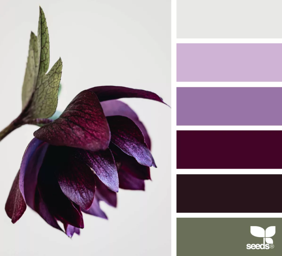 Бургунди палитра