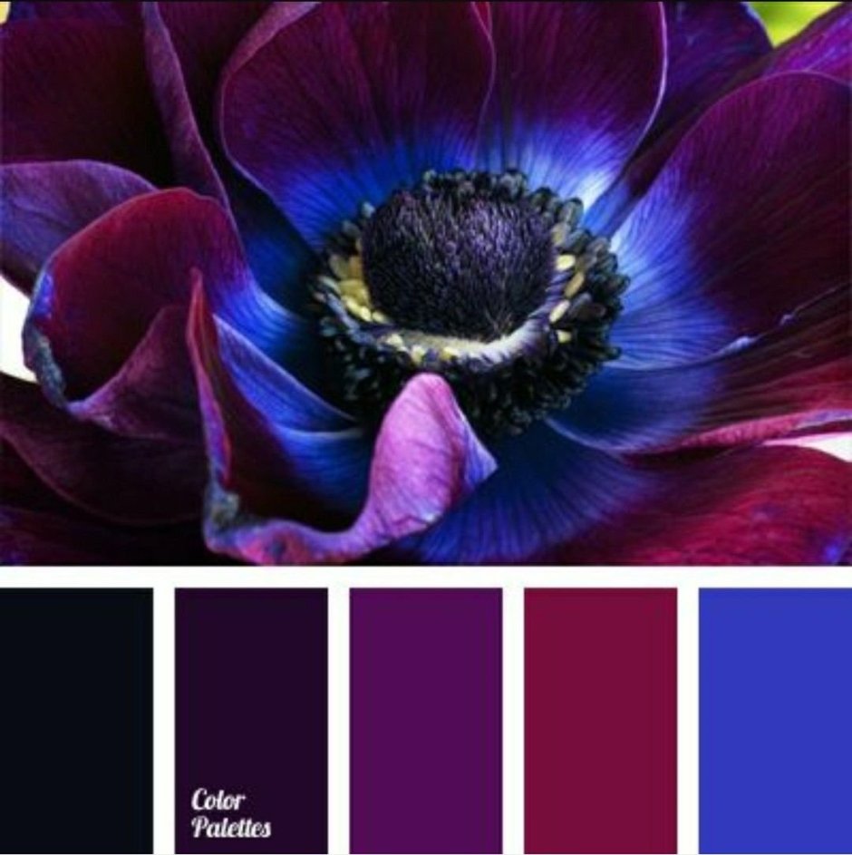 Сине фиолетовая палитра