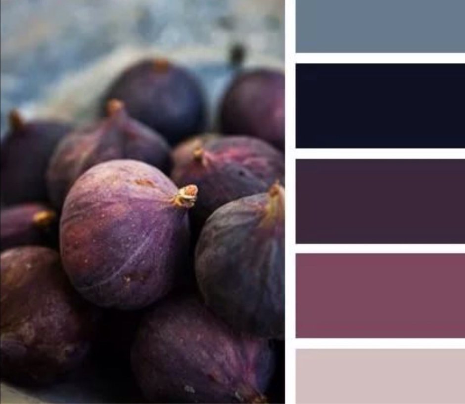 Цветовая палитра инжир