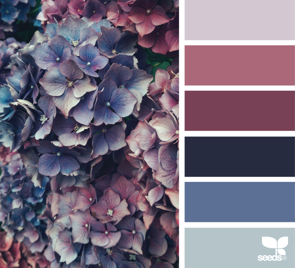 Палитры Сидс фиолетовые