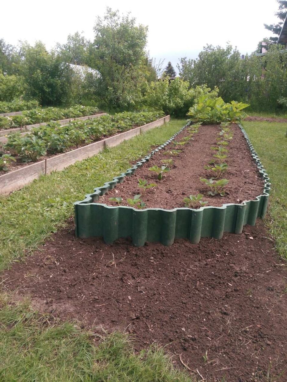 Клумбы из шифера