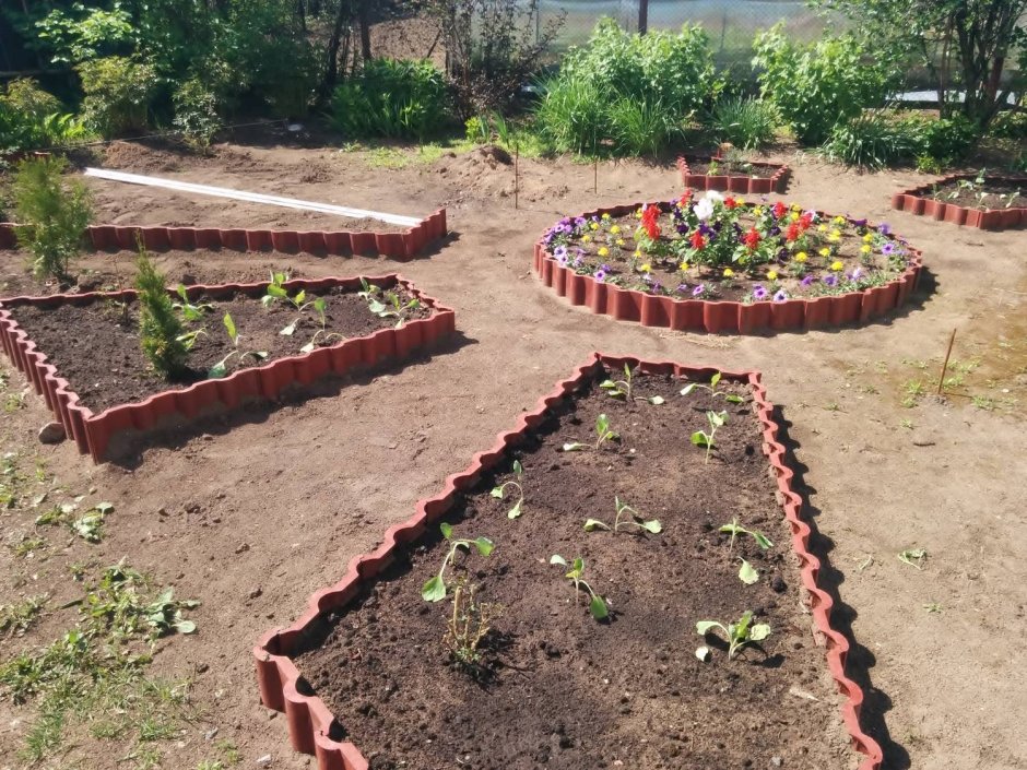 Обордюренные грядки