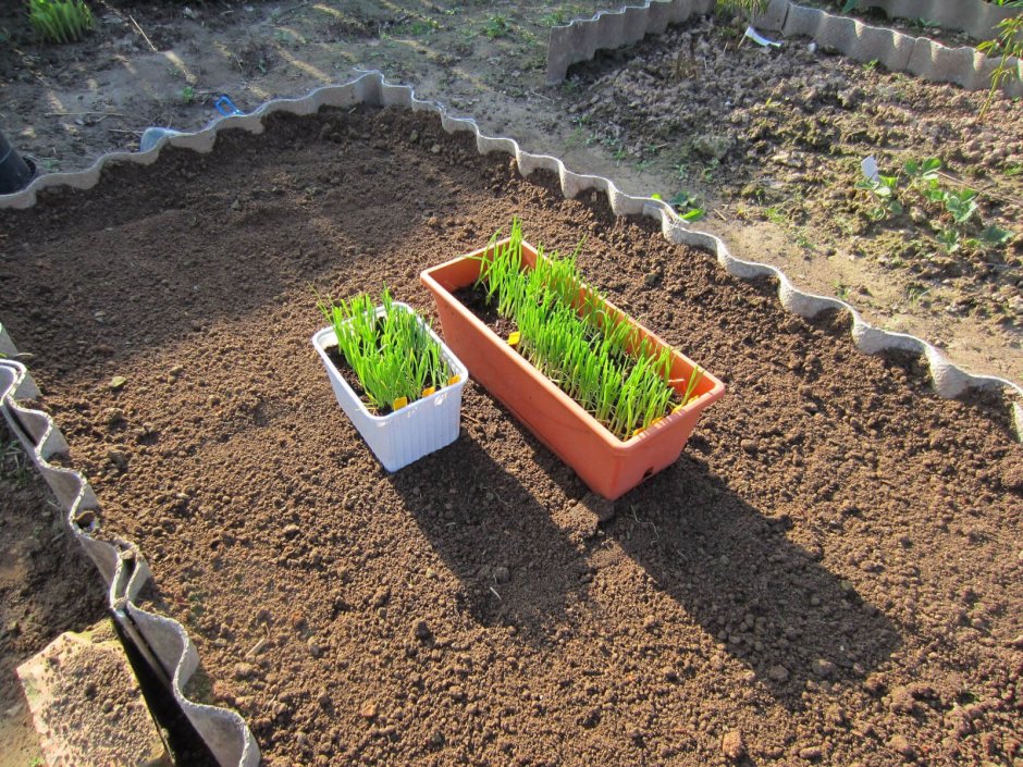 Ограждение для грядок