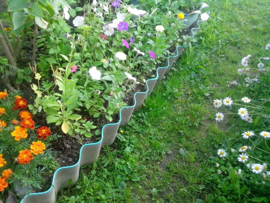 Грядки из шиферного листа