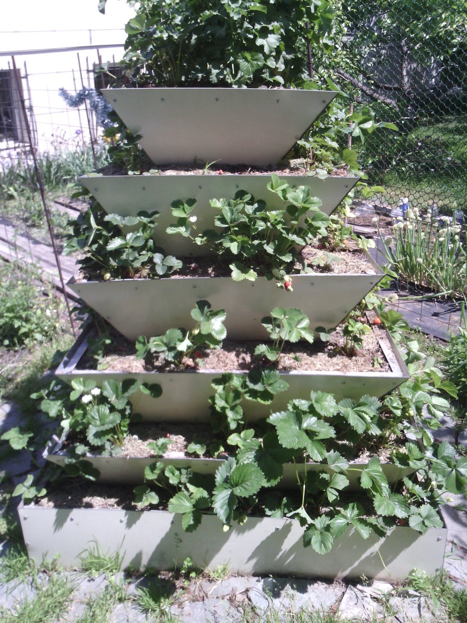 Оригинальные клумбы