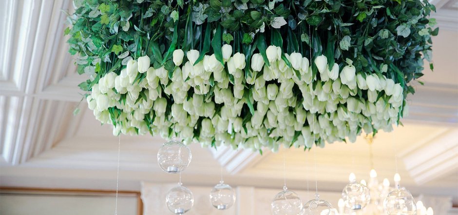 Фитодизайн в интерьере