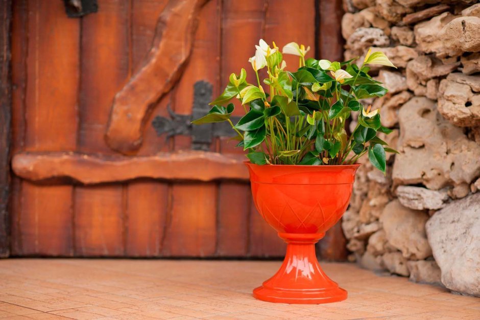 Вазон Венеция 18л