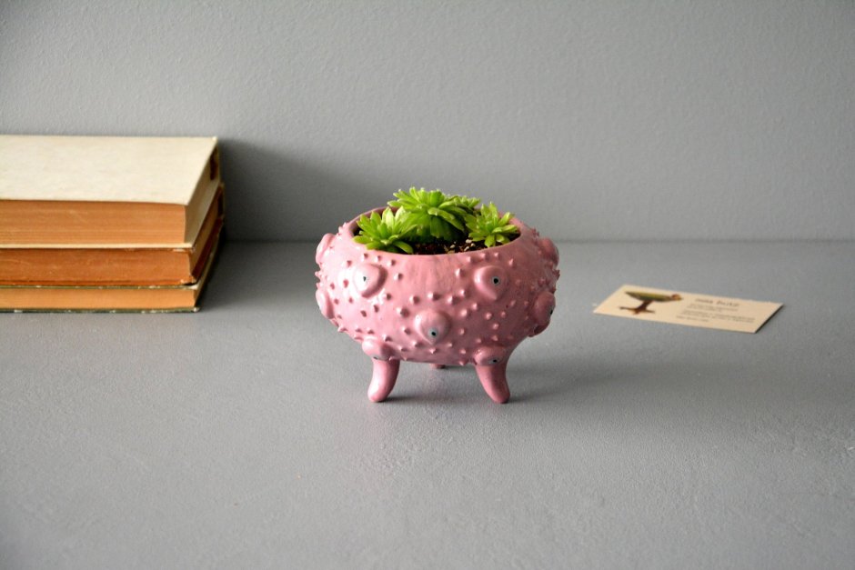 Цветочные горшки необычной формы