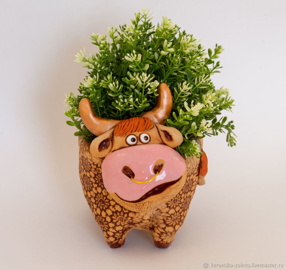 Бонсай ниваки