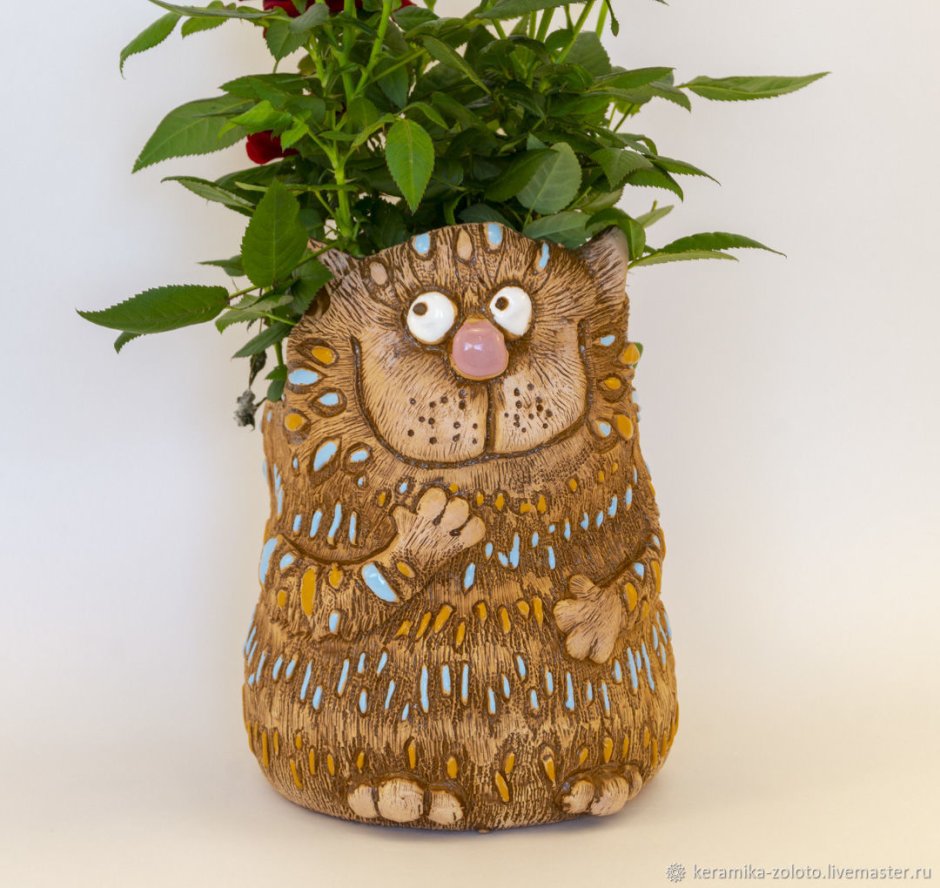 Фот растения в кашпо сверху