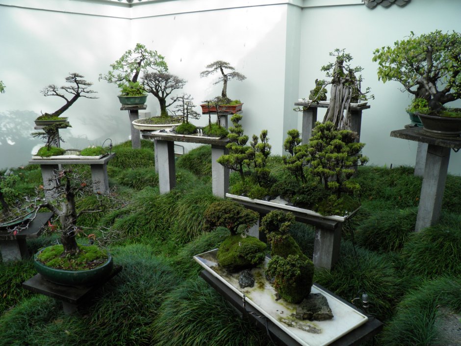 Мексиканский стиль в цветочных горшках