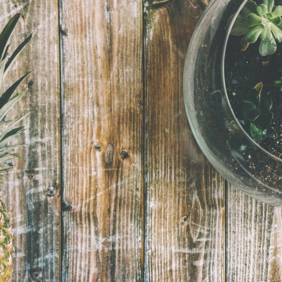 Креативные аниме обои