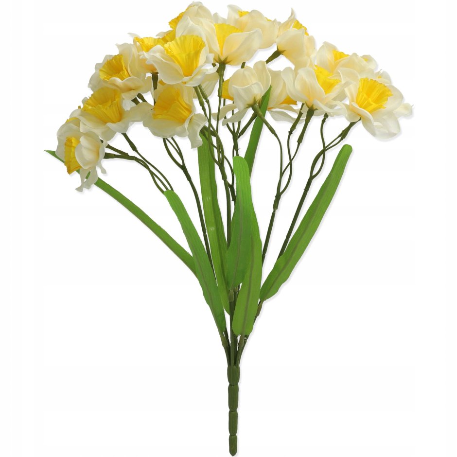 Нарциссы букет