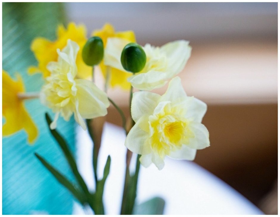 Миниатюрные нарциссы