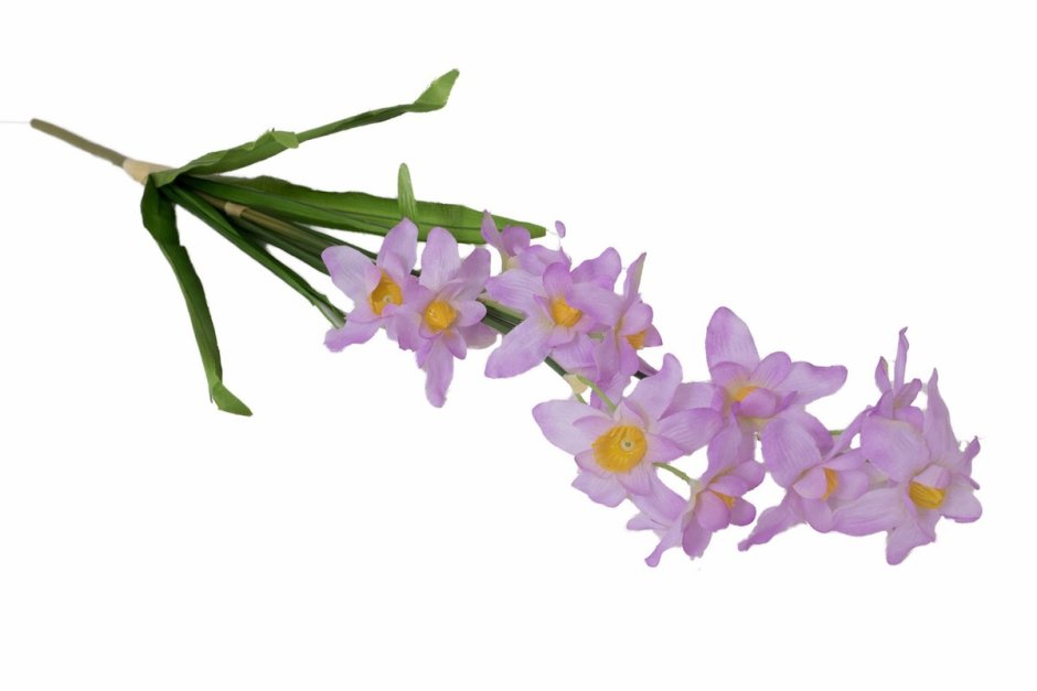 Букет крупных нарциссов