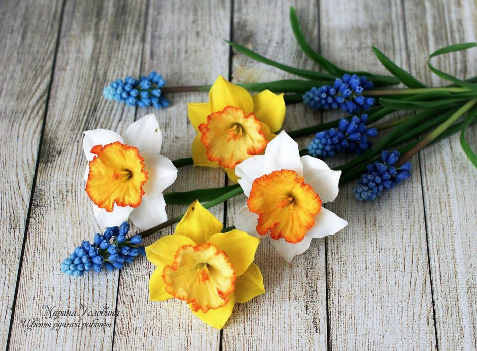 Фрезия нарциссы