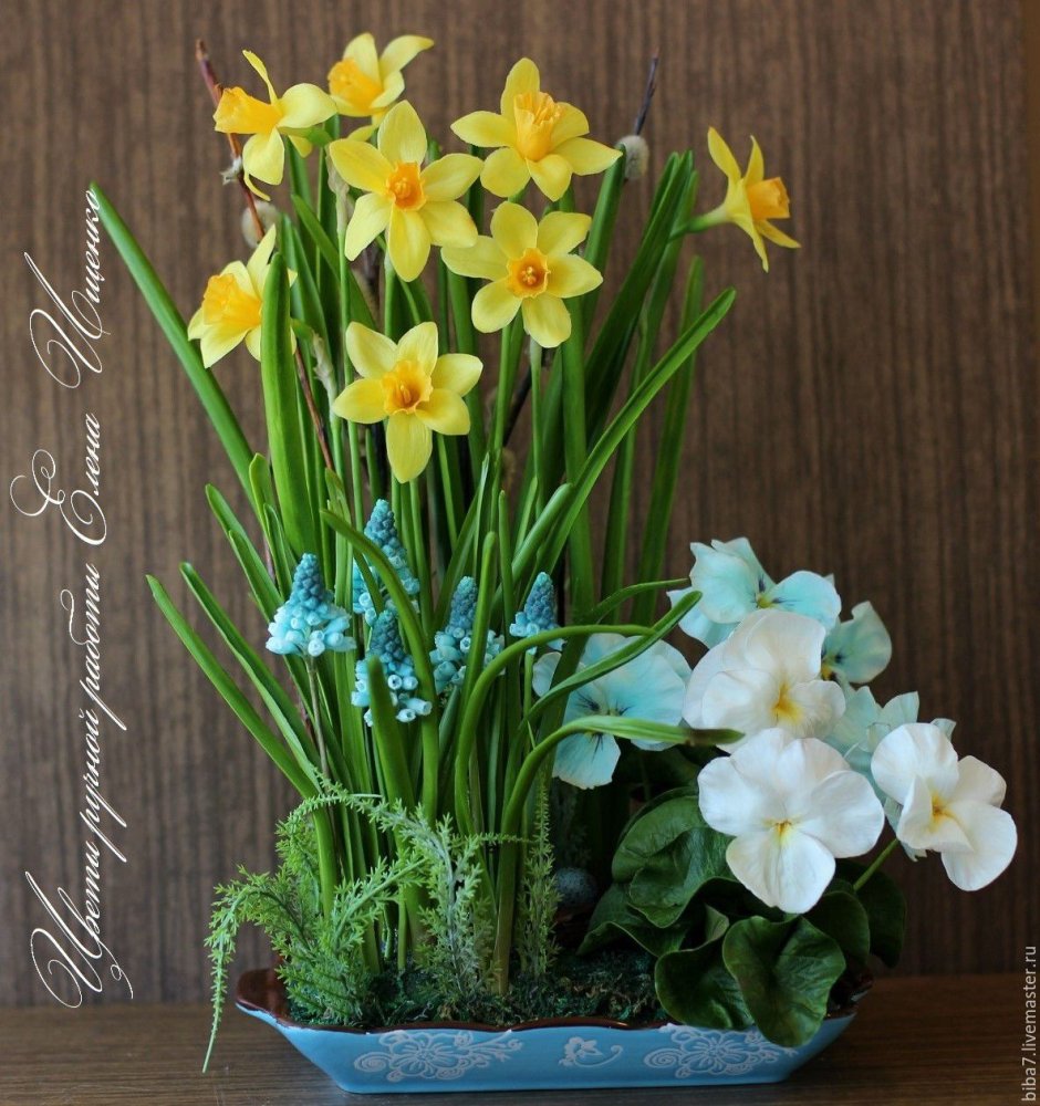 Нарциссы Прованс