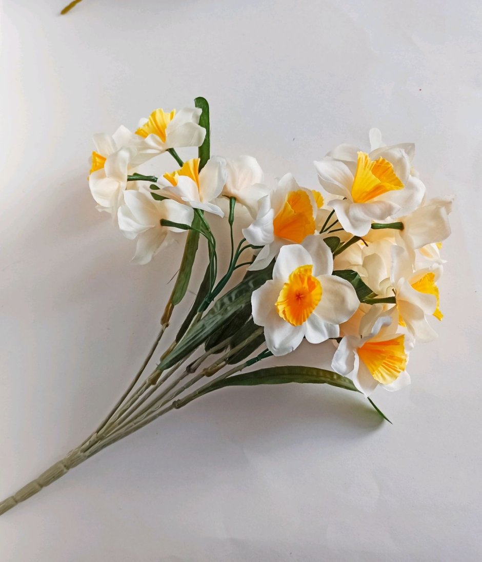 Нарцисс декоративный