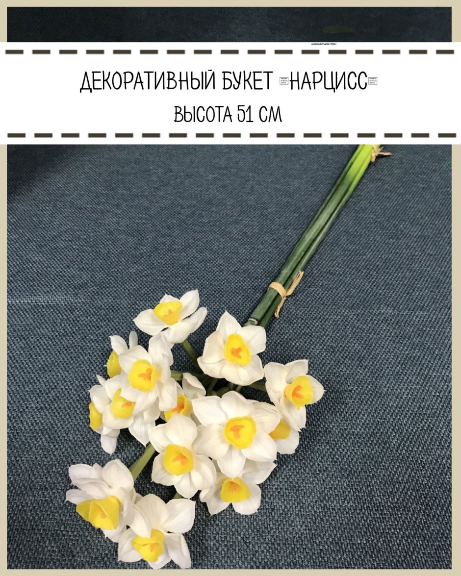 Ellen Hoverkamp Photography