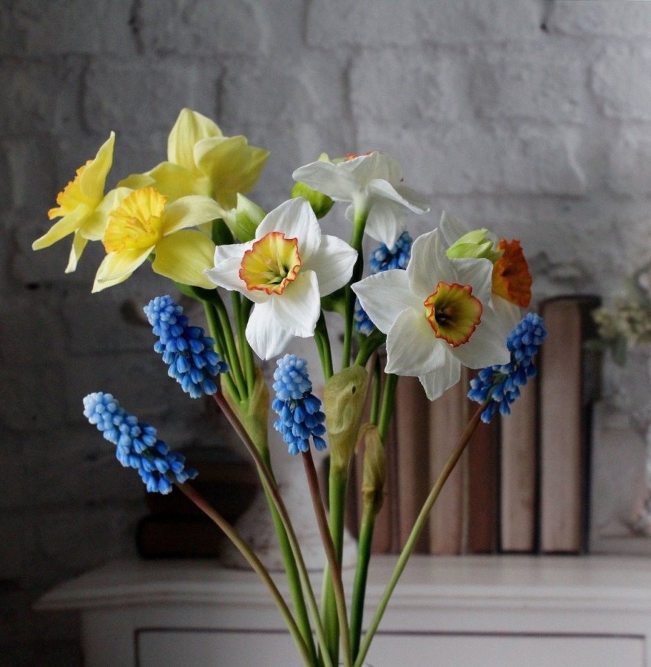 Нарцисс Narcissus petit four