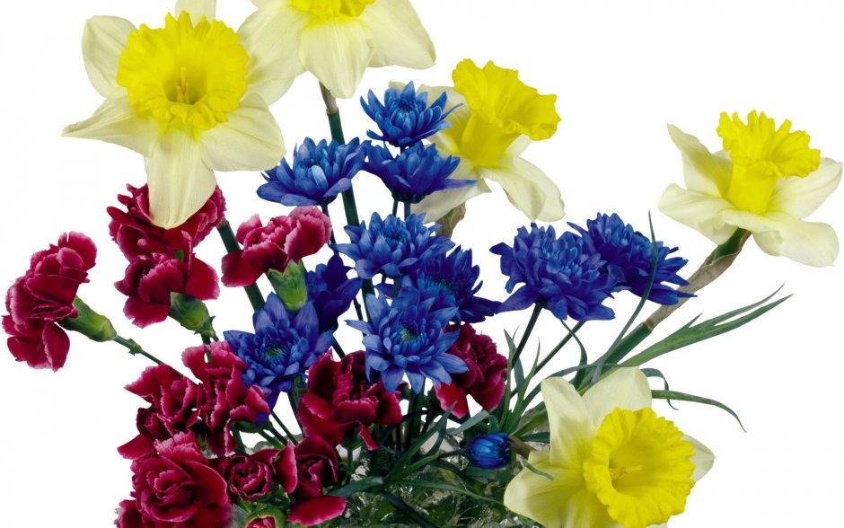 Тюльпаны и нарциссы букет