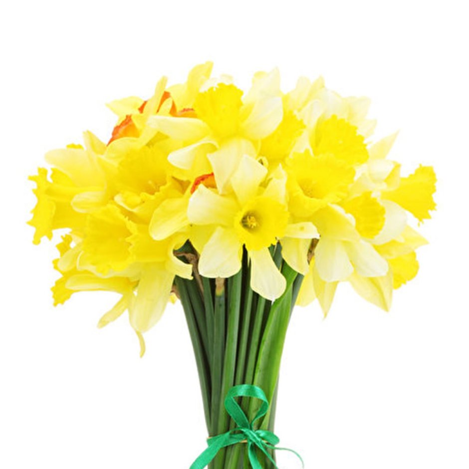 Нарцисс букетный