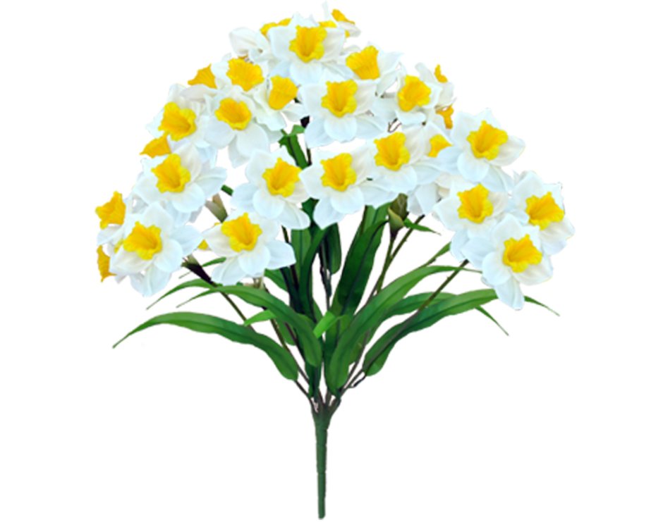 Искусственные нарциссы