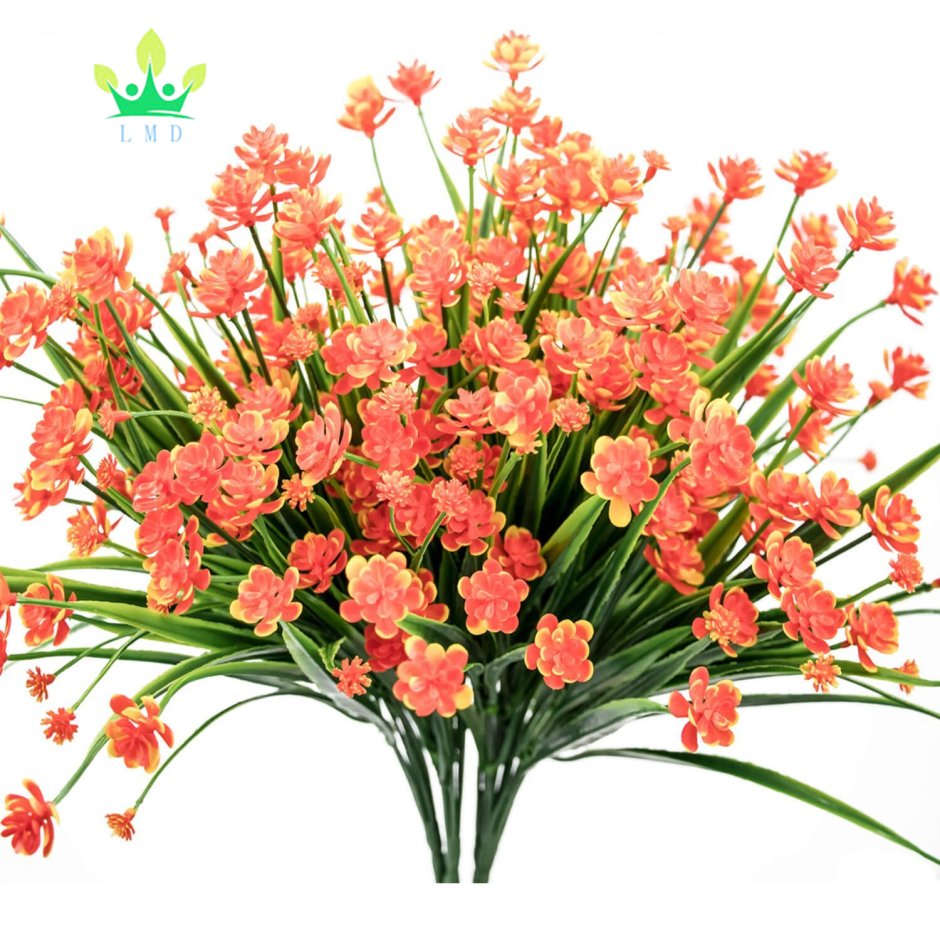 Treez collection нарциссы