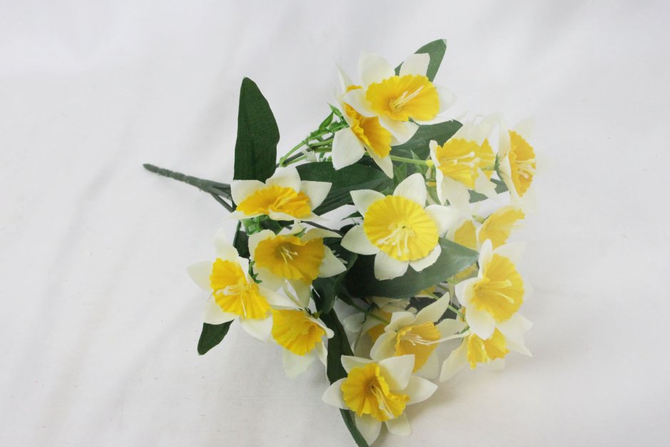 Тиффани Нарцисс