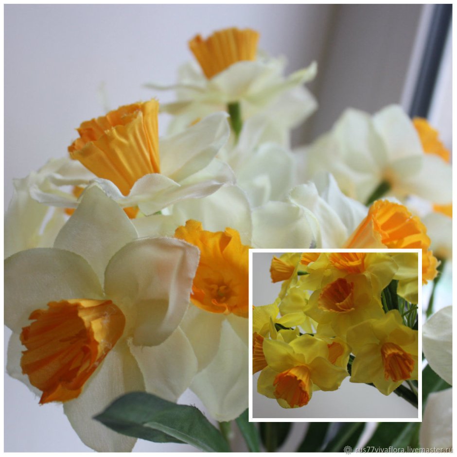 Нарцисс микс в горшке