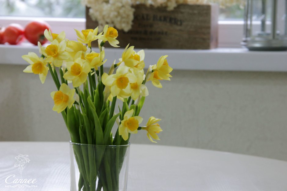 Нарцисс во флористике