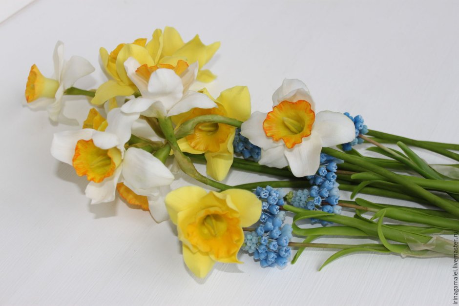 Нарциссы букет
