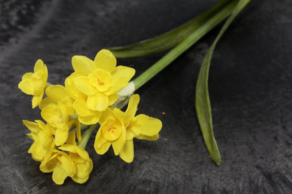Цветы нарциссы букет