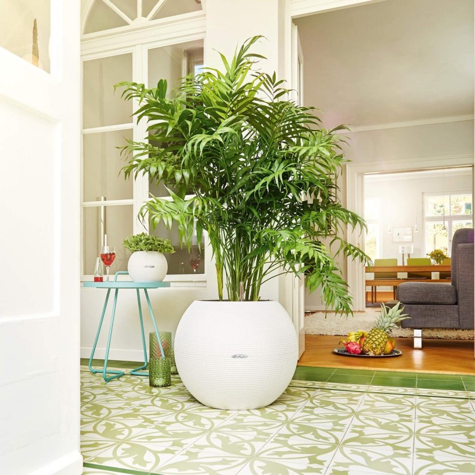 Кашпо Lechuza Рондо