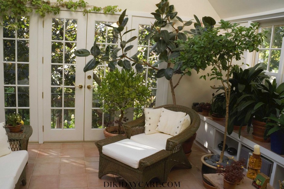 Комнатное растение в интерьере дизайн напольное