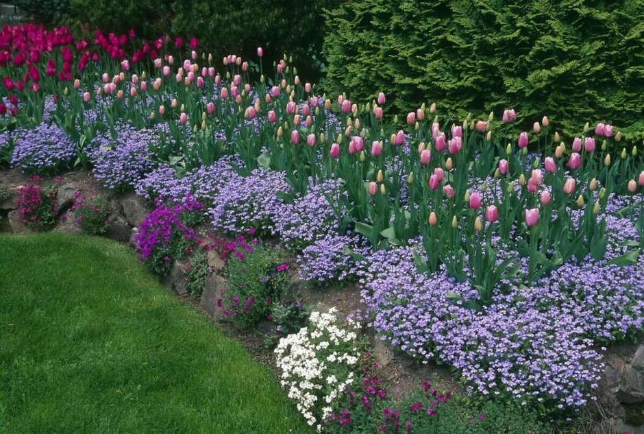 Клумба: астильба лилейник,Лаванда