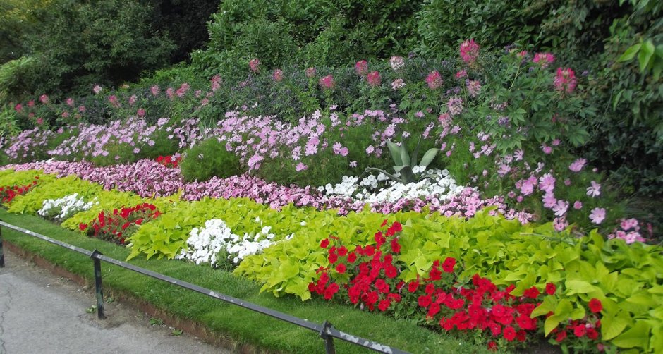 Рабатки миксбордеры