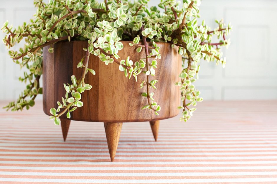 Влагостойкие цветы для деревьев своими руками