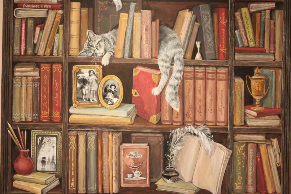 Книжные полки