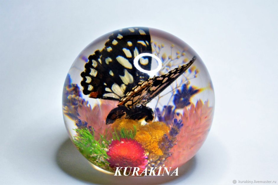 Gr-66/ 1 пресс-папье