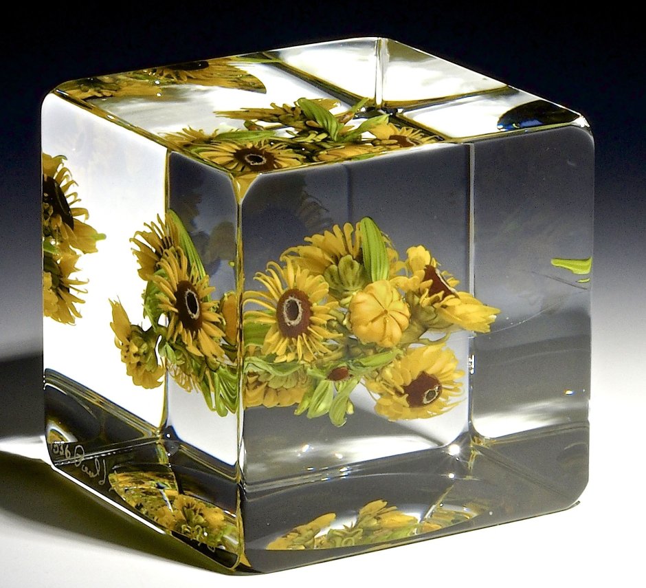 Пол Стэнкард