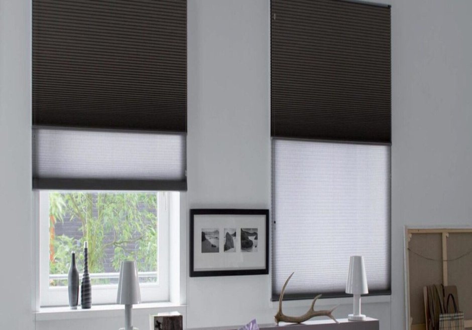 Плиссе день ночь