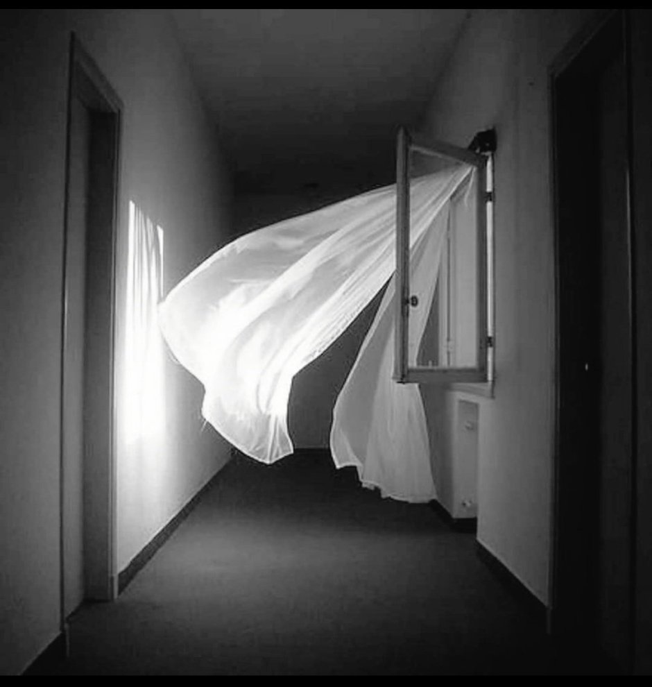 Развивающаяся занавеска