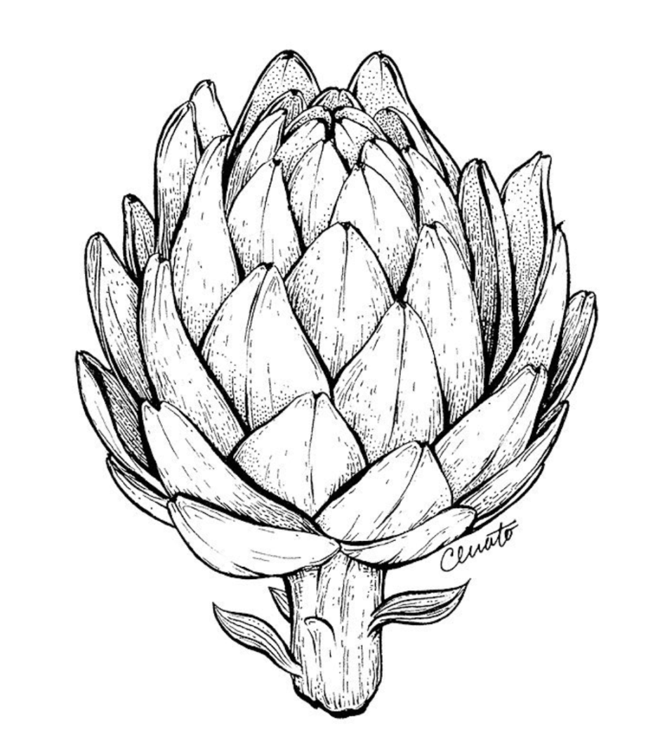 Керамика Artichoke