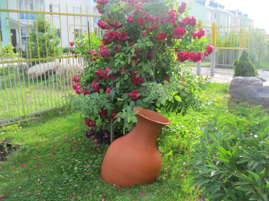 Кувшин для сада