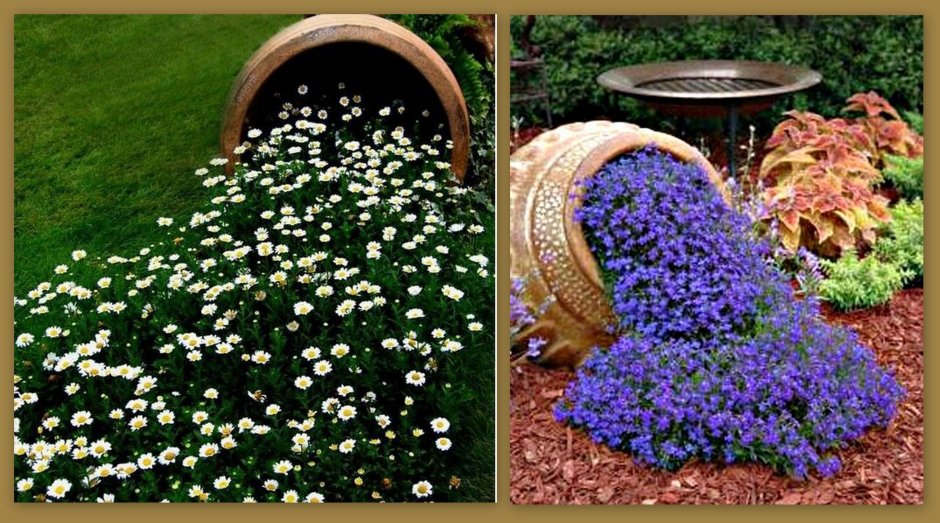 Лобелия Ручеек