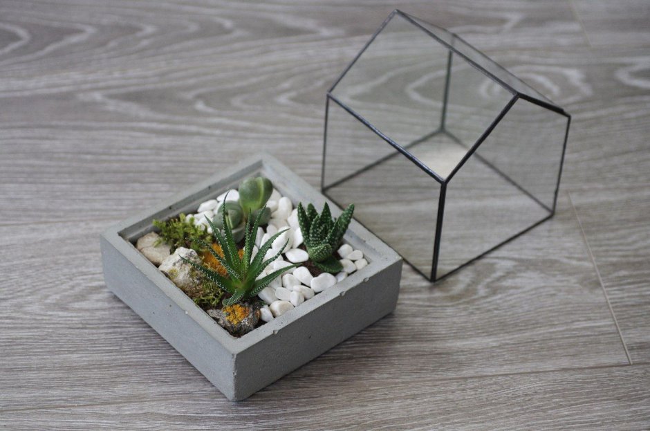 Пластиковые баночки с крышкой 30 мл 50 мл