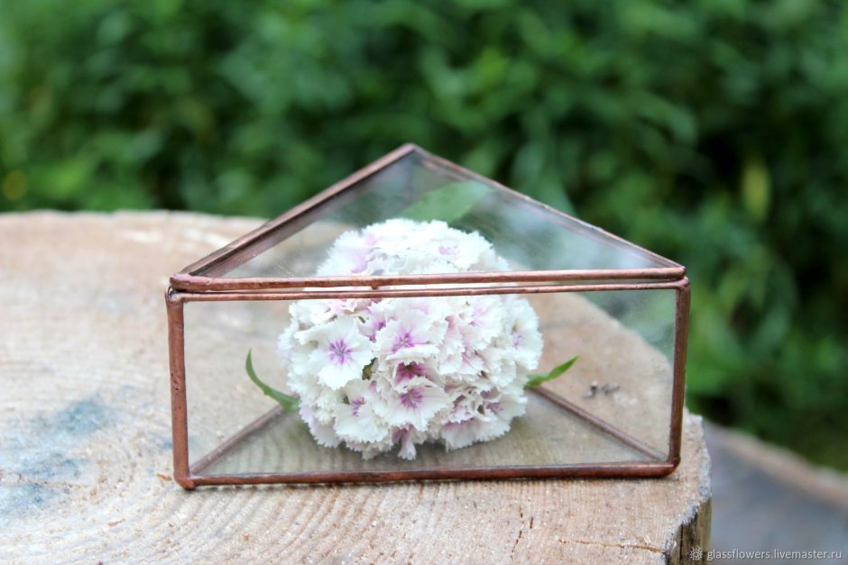 Стеклянная коробка