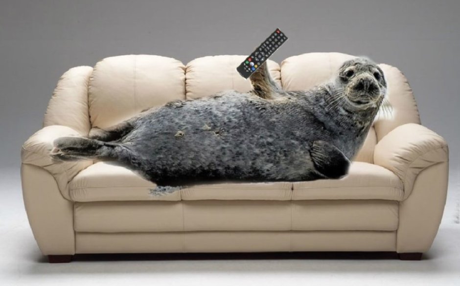 Ligne Roset мебель диван Togo