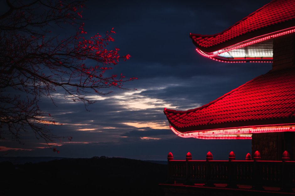 Японская кухня